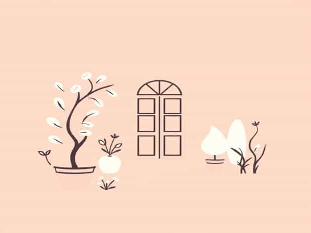 Jardin De Monsieur Li