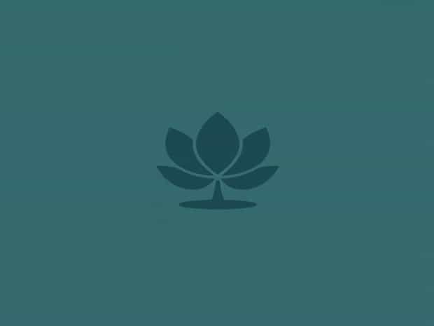 Meaning Of Alum In Hindi