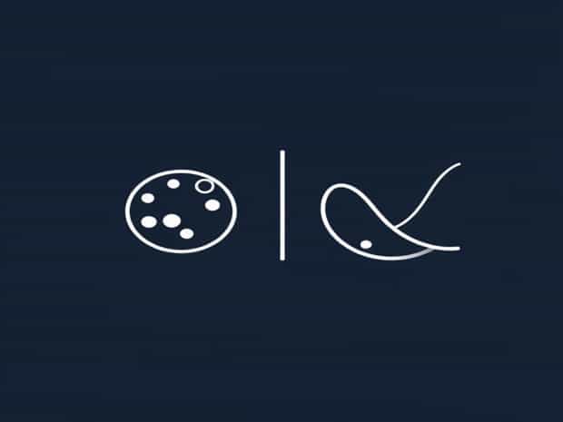 Microscopic And Macroscopic Properties In Thermodynamics