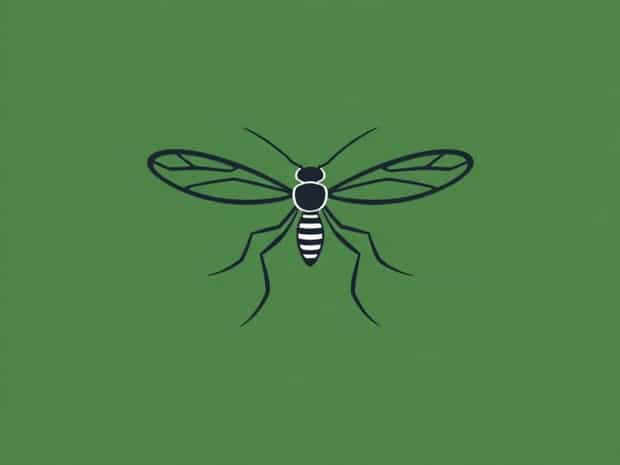 Mosquito Bits For Fungus Gnats