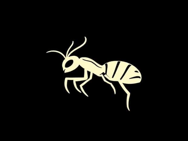 Mtn Gnat Bundle Code Free