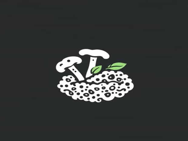 Mushroom And Spinach Risotto