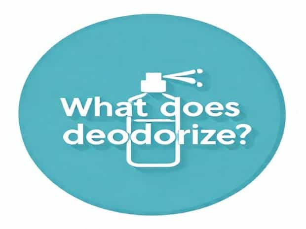 What Does Deodorize Mean