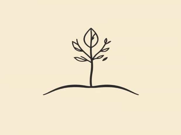 What Does Fragility Mean