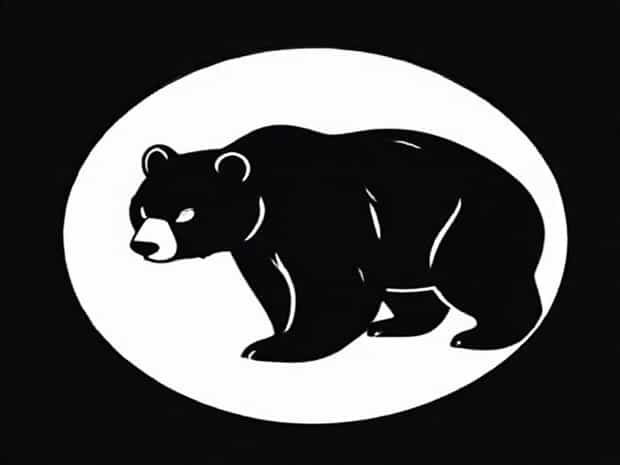 Zt2 Asiatic Black Bear