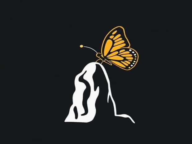 A Butterfly Perched On A Stalagmite