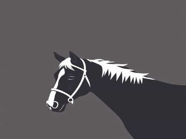 A Twitch Is Used To Restrain A Horse By