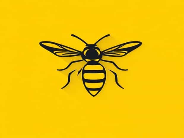 A Yellow Jacket Stinger