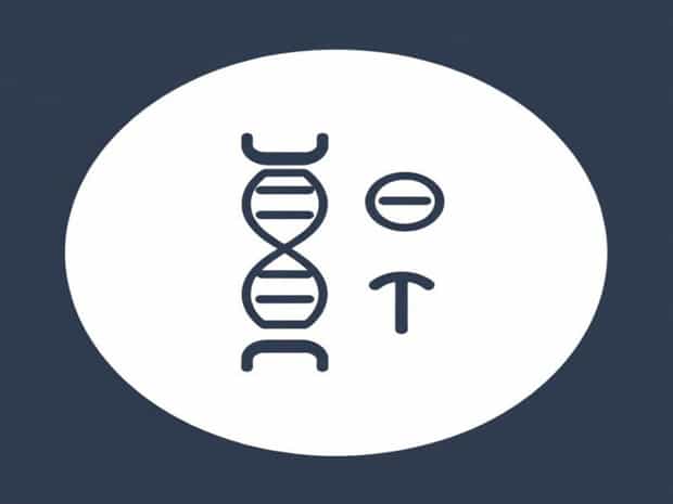 Adenine Guanine Cytosine And Thymine Are All