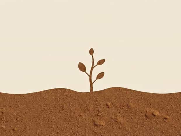 Alluvial Clayey Soil Meaning