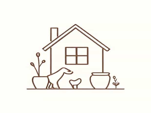 Another Word For Domestication