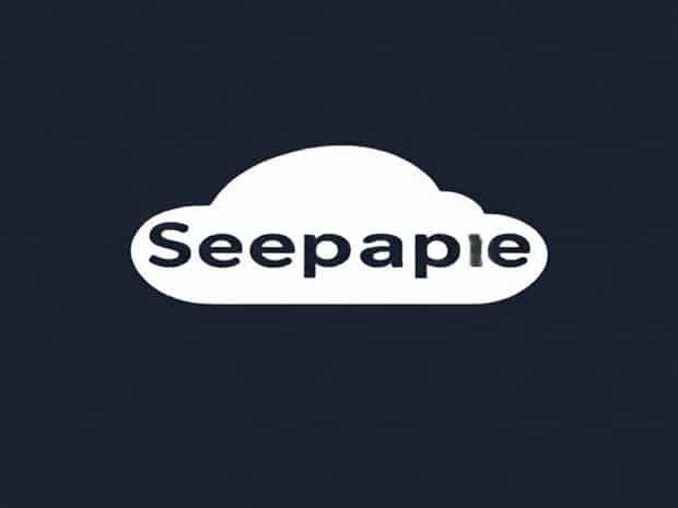 Another Word For Seepage