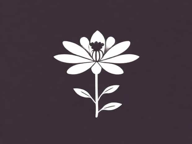Arnica ? Aigrette Brune