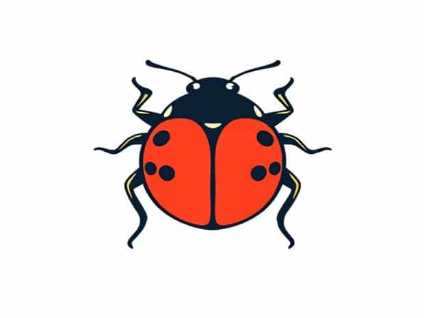 Asian Multicolored Lady Beetle