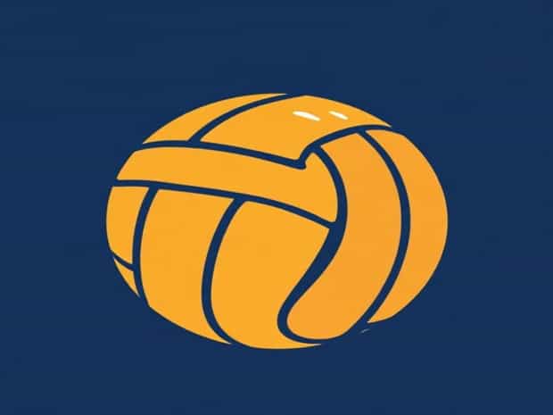 Ball Touched In Volleyball