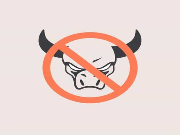 Ban On Xl Bully