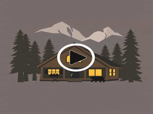 Bearskin Lodge Bear Video