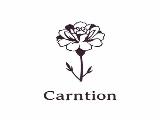Botanical Name Of Carnation