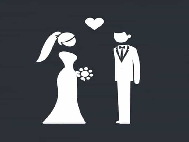 Bride And Bride Groom