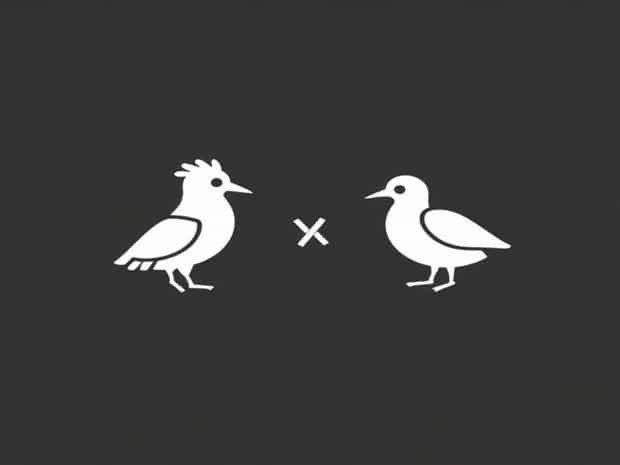 Cackle Hatchery Vs Murray Mcmurray