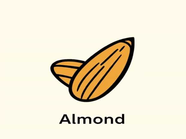 Calories In 1 Almond