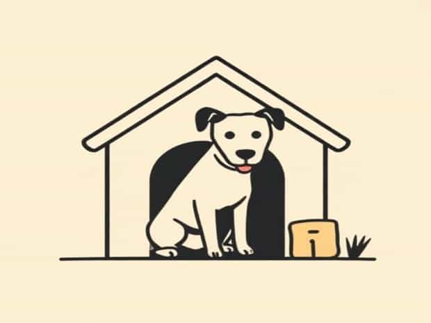 Can T Housebreak Dog