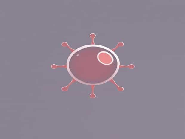 Cell Turgidity Is Caused By