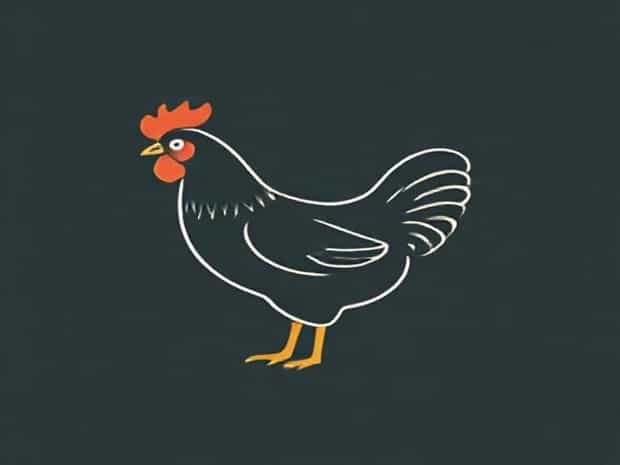 Chicken N Pickle Webster