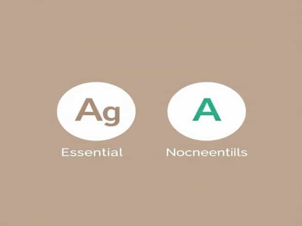 Compare Essential And Nonessential Amino Acids
