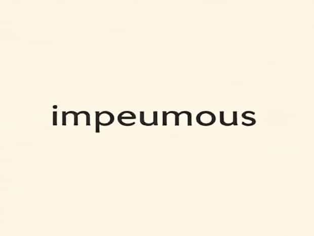 Define The Word Impecunious