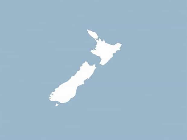 Element Of Intuition In New Zealand Flier