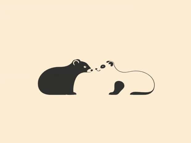 European Polecat Vs Ferret