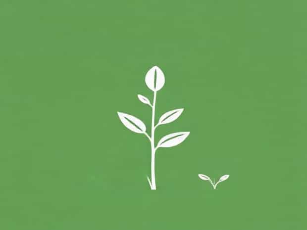 Five Importance Of Turgidity In Plants