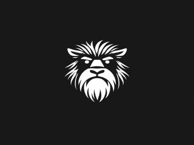 Hardly Hirsute Crossword Clue