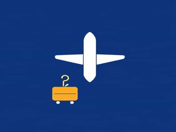 Hawaiian Airlines Passenger Disruption