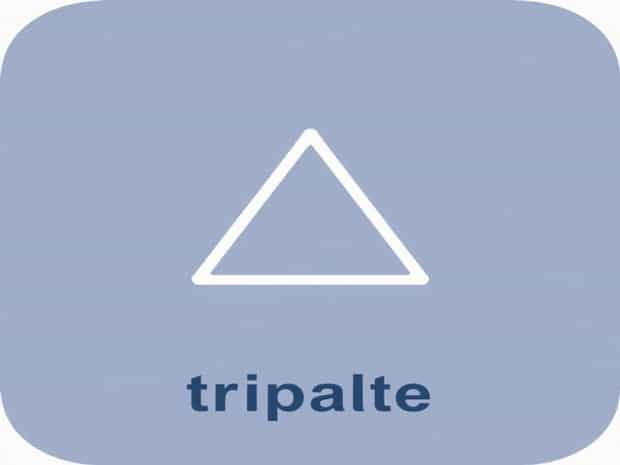 How Do You Pronounce Tripartite