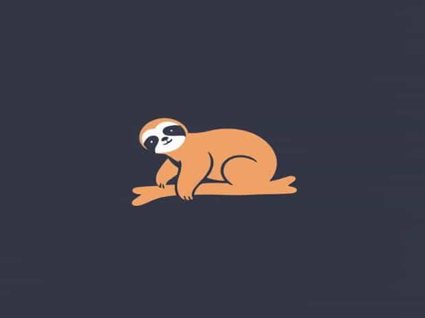 How To Adopt A Sloth