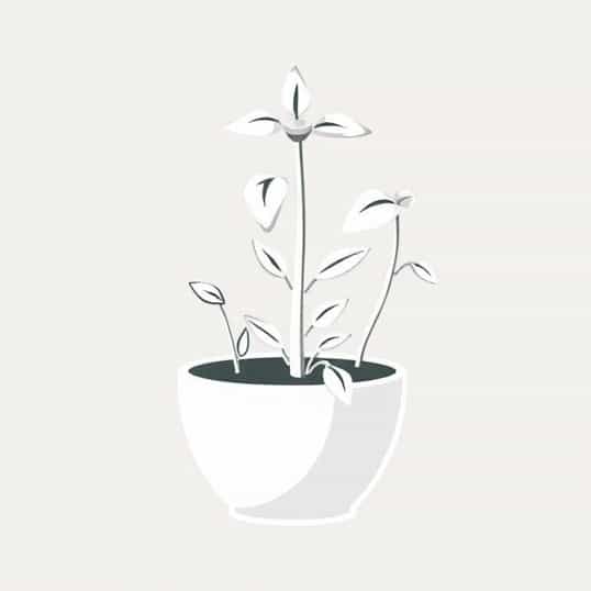 Hydro Planter By Chg