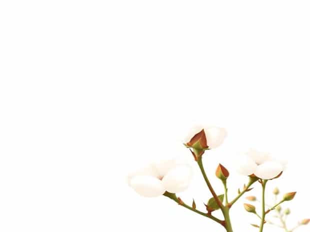 Is Combed Cotton Good For Summer