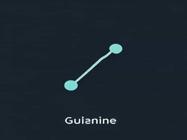 Is Guanine An Amino Acid