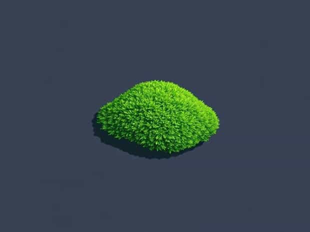 Is Peat Moss Good