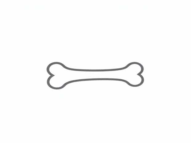 Is Phalanges A Bone