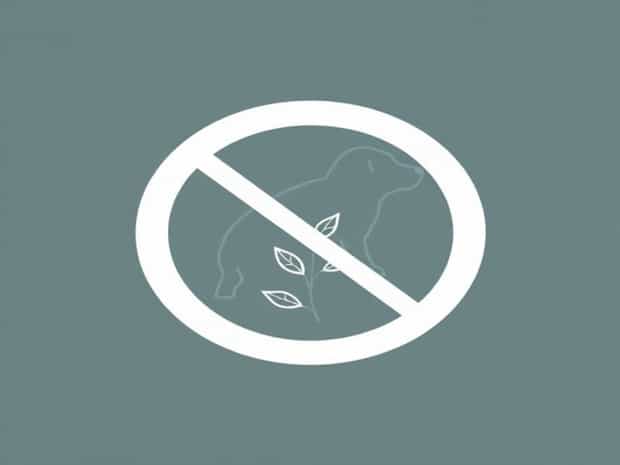 Is Resolva Weedkiller Harmful To Dogs