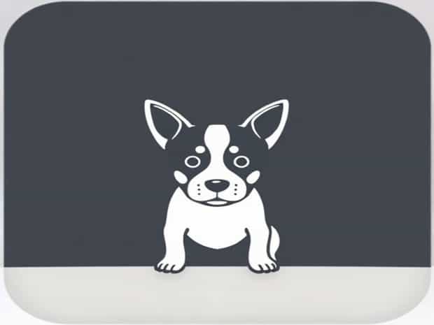 Jack Russell Terrier Adoption