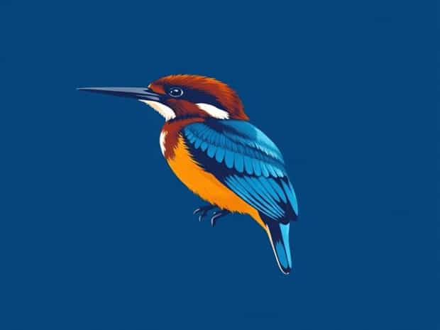 Javan Blue Banded Kingfisher