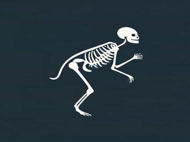 Meaning Of Emaciation In Biology