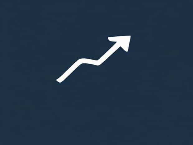 Meaning Of Leverage In Business