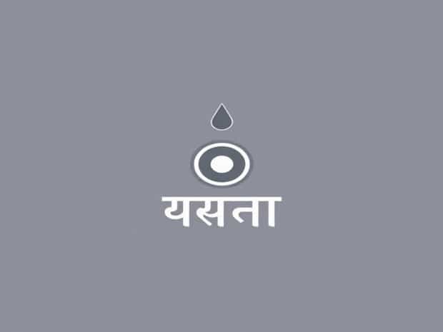Meaning Of Pivotal In Nepali