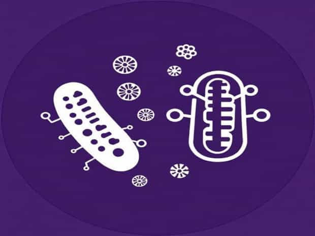 Microbiological And Immunological Communications