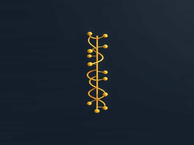 Molecular Basis Of Inheritance Seep Pahuja